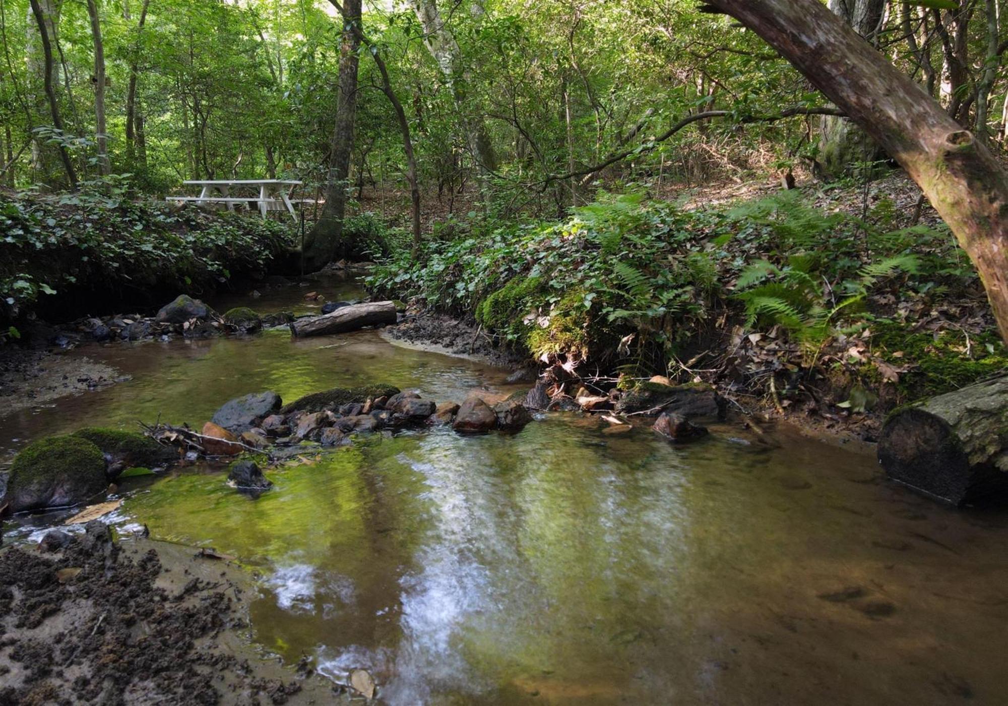 הוילה Laurel Creek- בלו רידג' מראה חיצוני תמונה